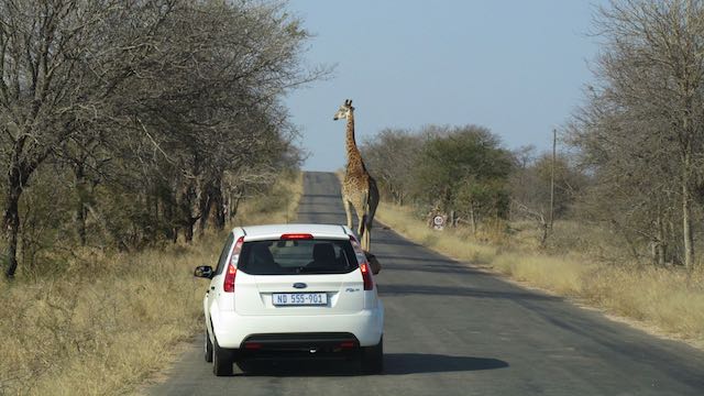 Auto Krugerpark Zuid Afrika Rondreis Op Maat Specialist
