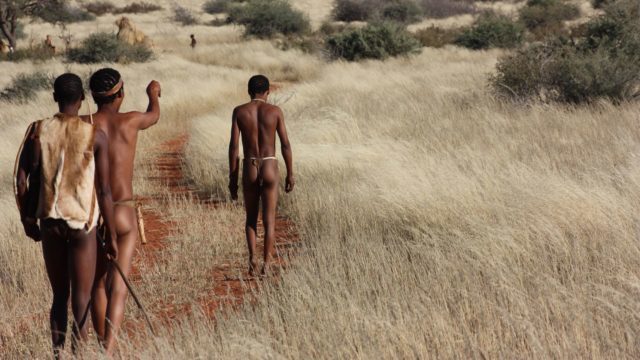 Kalahari Wandeling San Bushmen - Namibie en Botswana Rondreis Op Maat Specialist