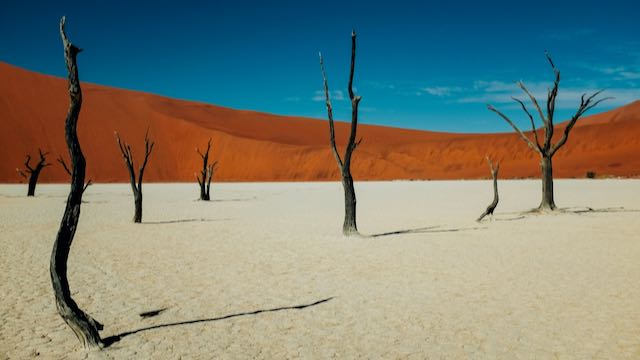 Sossusvlei Namibie Rondreis Op Maat Specialist