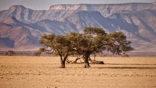 Zuid-Namibie Rondreis Op Maat Specialist