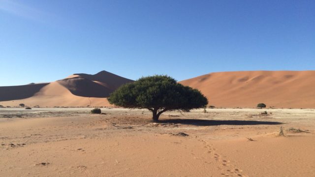 Reisverslag Familie Wesselingh Namibië Rondreis Op Maat Specialist