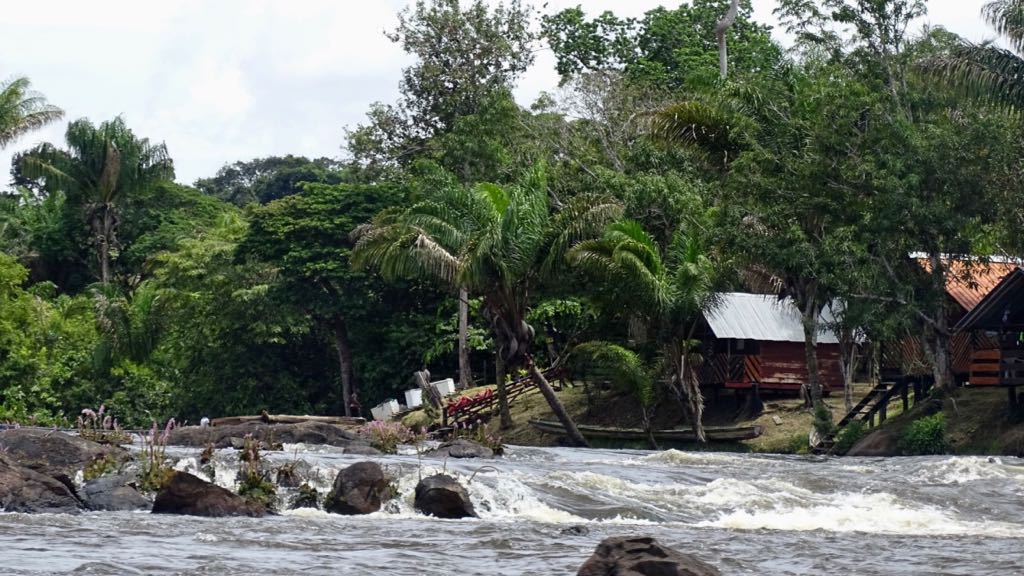 Suriname Stroomversnellingrivier Rondreis Op Maat Specialist