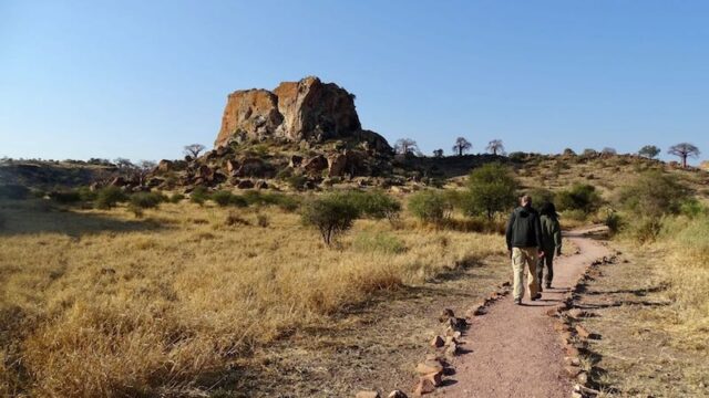 Heritage-tour-Mapungubwe Zuid-Afrika Rondreis Op Maat Specialist