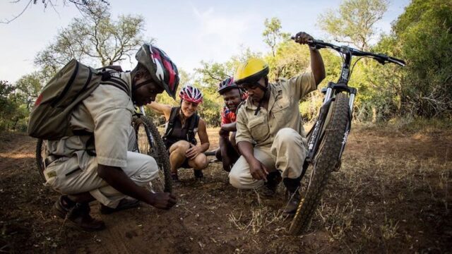 Hlane Mountain Bike Zuid-Afrika Rondreis Op Maat Specialist