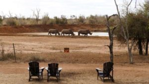Drinkende olifanten Fam Ashouwer Zuid-Afrika Rondreis Op Maat Specialist