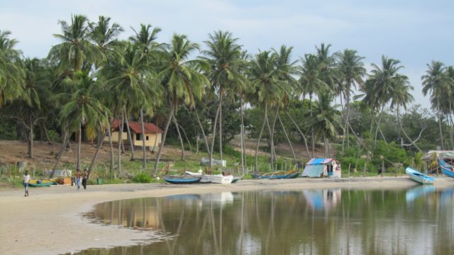 Stranden van Zuid-Sri Lanka Rondreis Op Maat Specialist