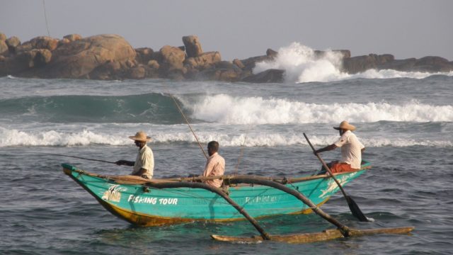 Vissers Zuid-Sri Lanka Highlights van Sri Lanka (kleine ronde)Rondreis Op Maat Specialist