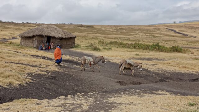 Masai dorp Tanzania Rondreis Op Maat Specialist AAA
