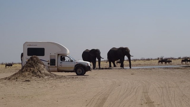 Reisverslag Party Boers Namibië Botswana Rondreis Op Maat Specialist