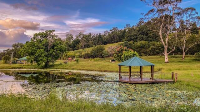 Highlight Eungella Australie Rondreis Op Maat Specialist