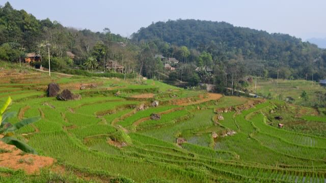 reisverslag familie Sinnige2 Vietnam Rondreis Op Maat Specialist